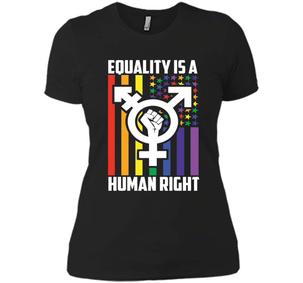 LGBT Pride Shirts Equality is a Human Right gift T-Shirt t-shirt