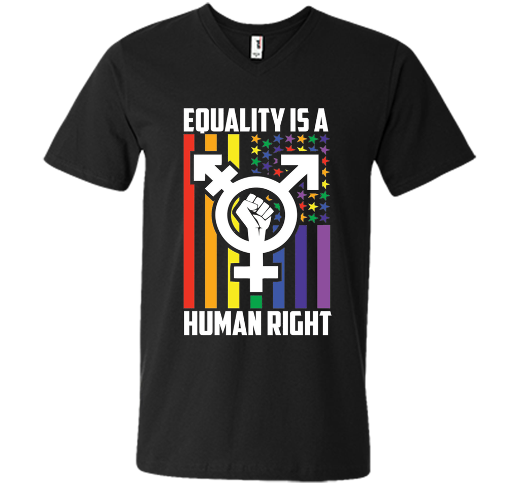 LGBT Pride Shirts Equality is a Human Right gift T-Shirt t-shirt