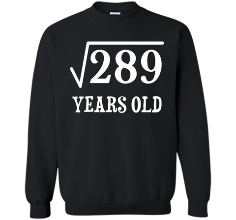 Square Root of 289 17 yrs years old 17th birthday T-Shirt