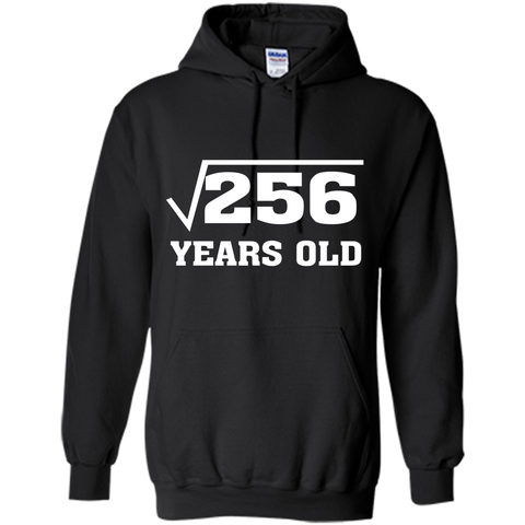 Square Root Of 256 Funny 16 Years Old T-Shirt 16th Birthday