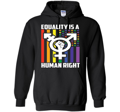 LGBT Pride Shirts Equality is a Human Right gift T-Shirt t-shirt