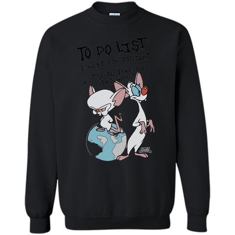 Animaniacs To Do List Pinky & Brain