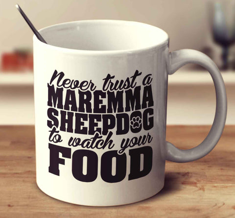 Never Trust A Maremma Sheepdog To Watch Your Food