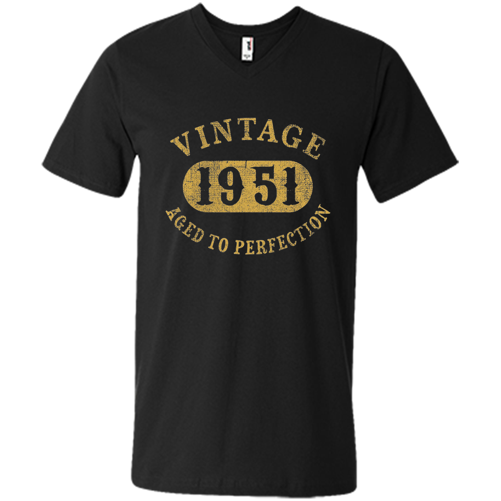 66 years old 66th Birthday B-day Gift Vintage 1951 T-Shirt