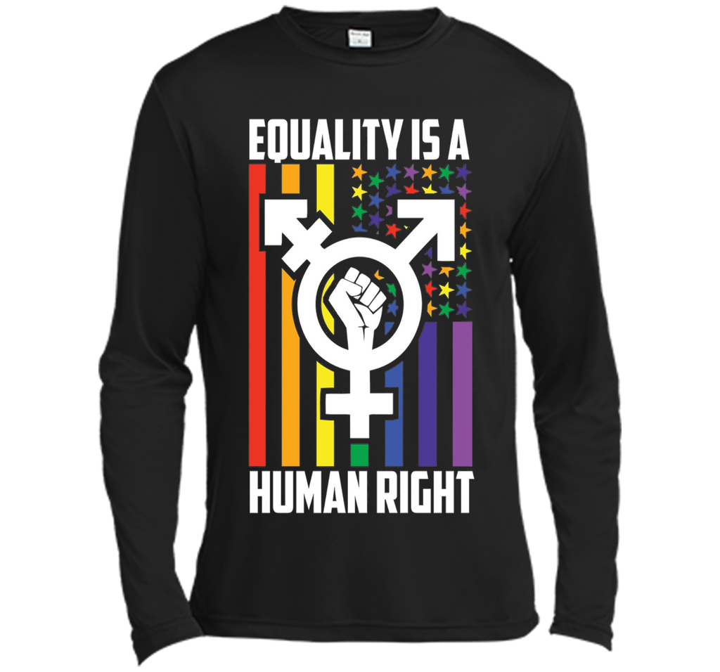 LGBT Pride Shirts Equality is a Human Right gift T-Shirt t-shirt