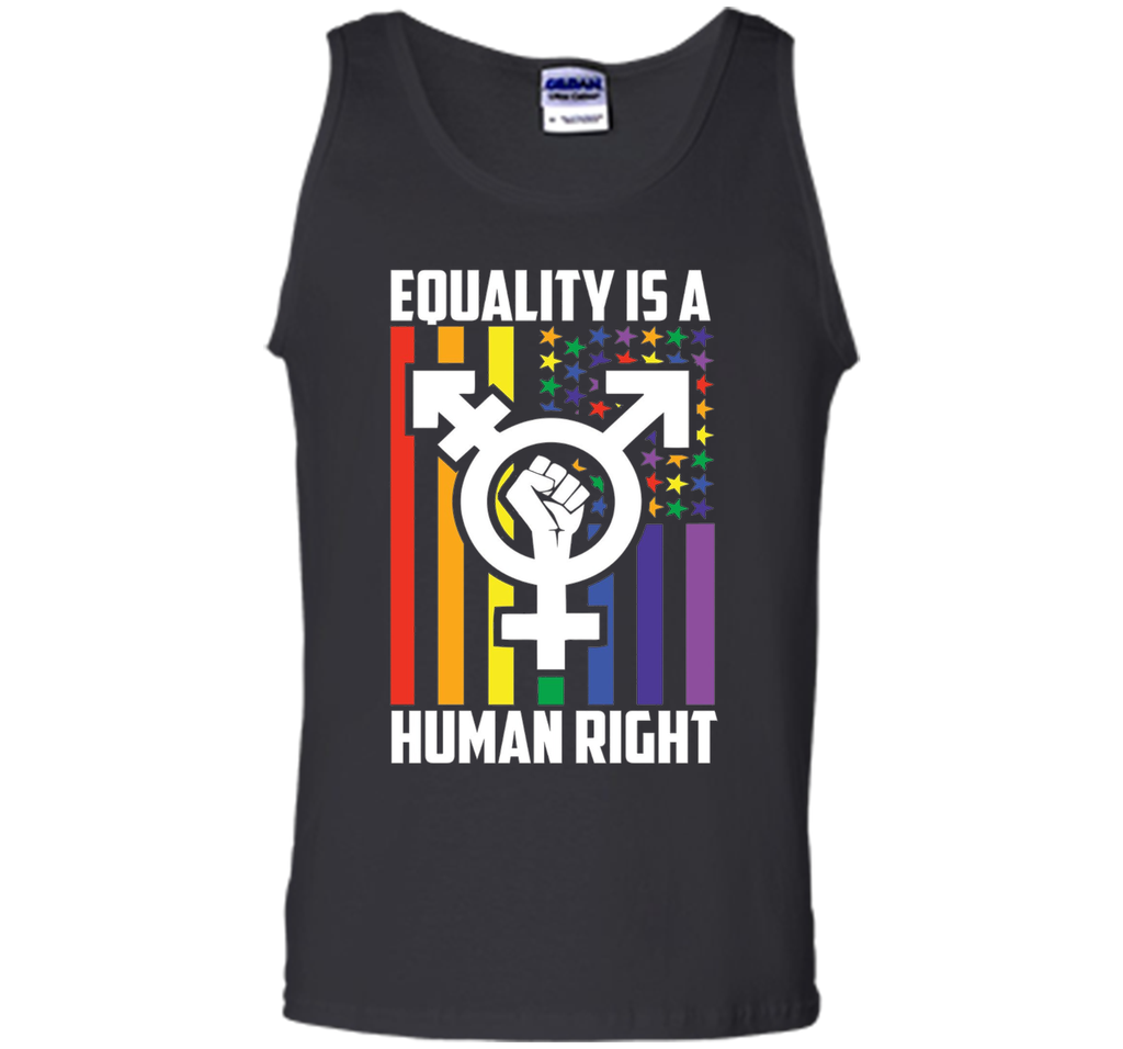LGBT Pride Shirts Equality is a Human Right gift T-Shirt t-shirt