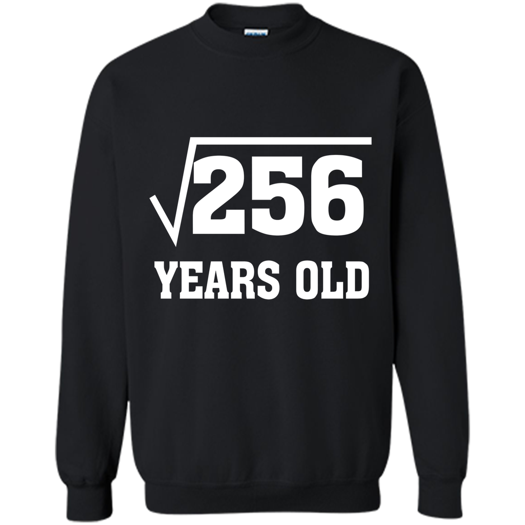 Square Root Of 256 Funny 16 Years Old T-Shirt 16th Birthday
