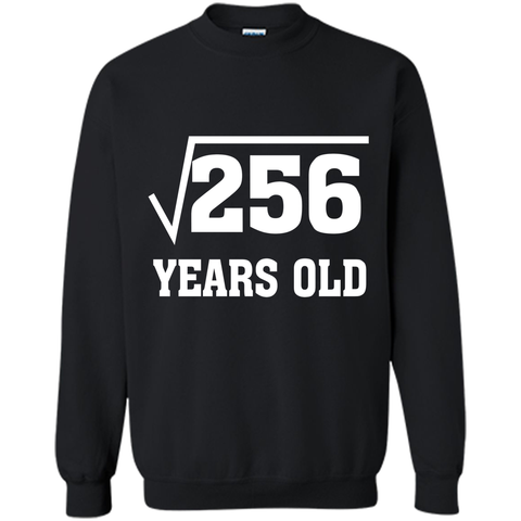 Square Root Of 256 Funny 16 Years Old T-Shirt 16th Birthday