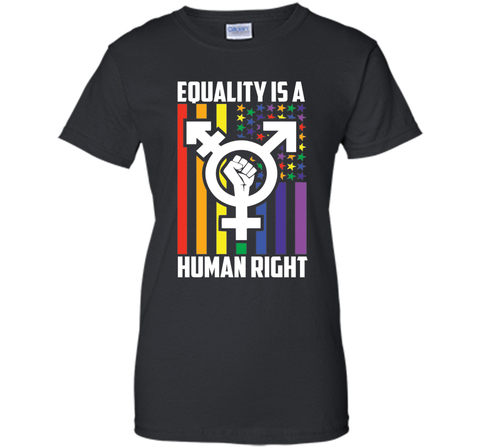LGBT Pride Shirts Equality is a Human Right gift T-Shirt t-shirt