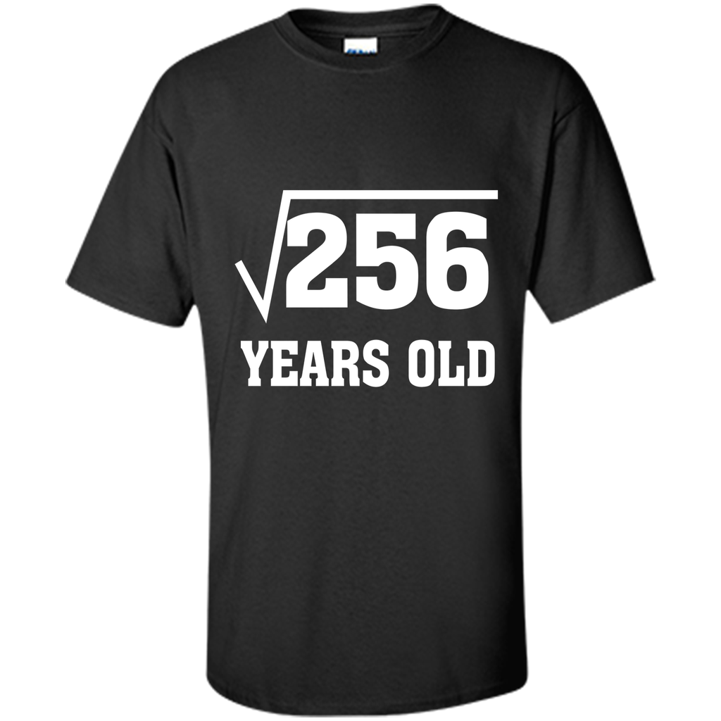Square Root Of 256 Funny 16 Years Old T-Shirt 16th Birthday