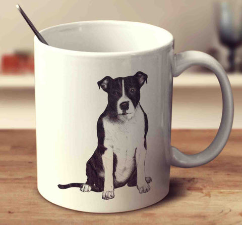 American Staffordshire Terrier Sketch
