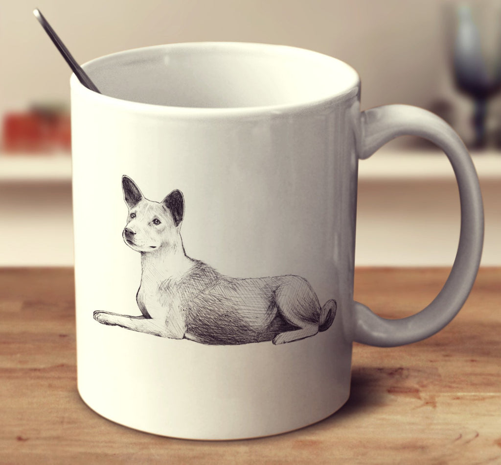 Basenji Sketch