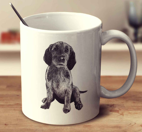 Basset Fauve De Bretagne Sketch
