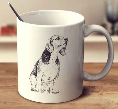 Beagle Sketch