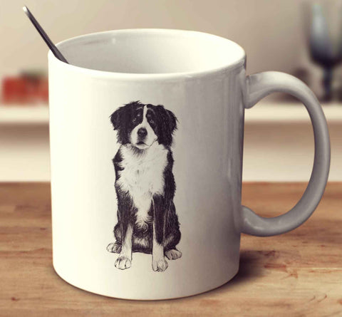 Bernese Mountain Dog Sketch