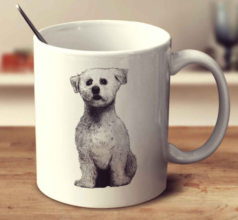 Bichon Frise Sketch