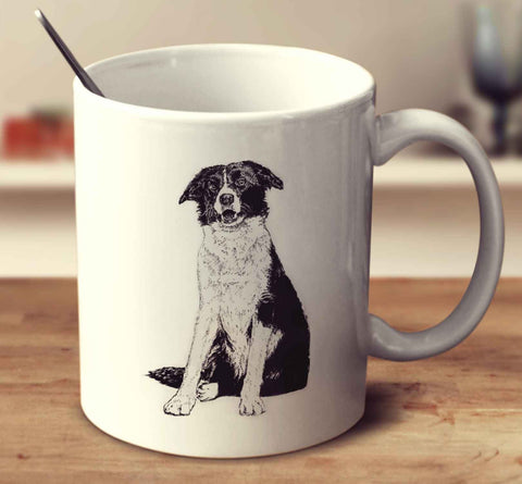 Border Collie Sketch
