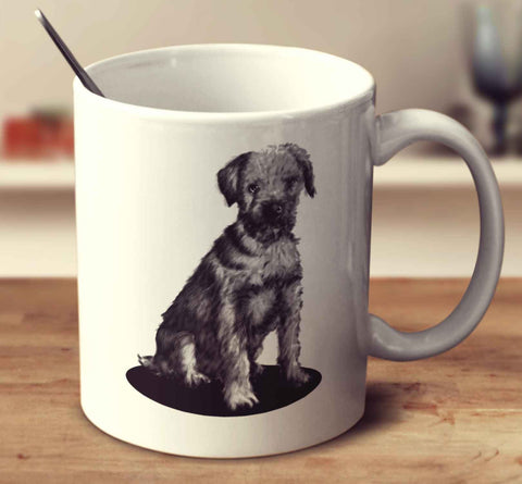 Border Terrier Sketch