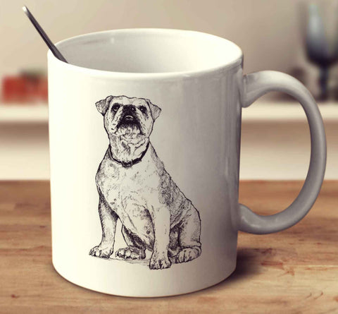 Bulldog Sketch