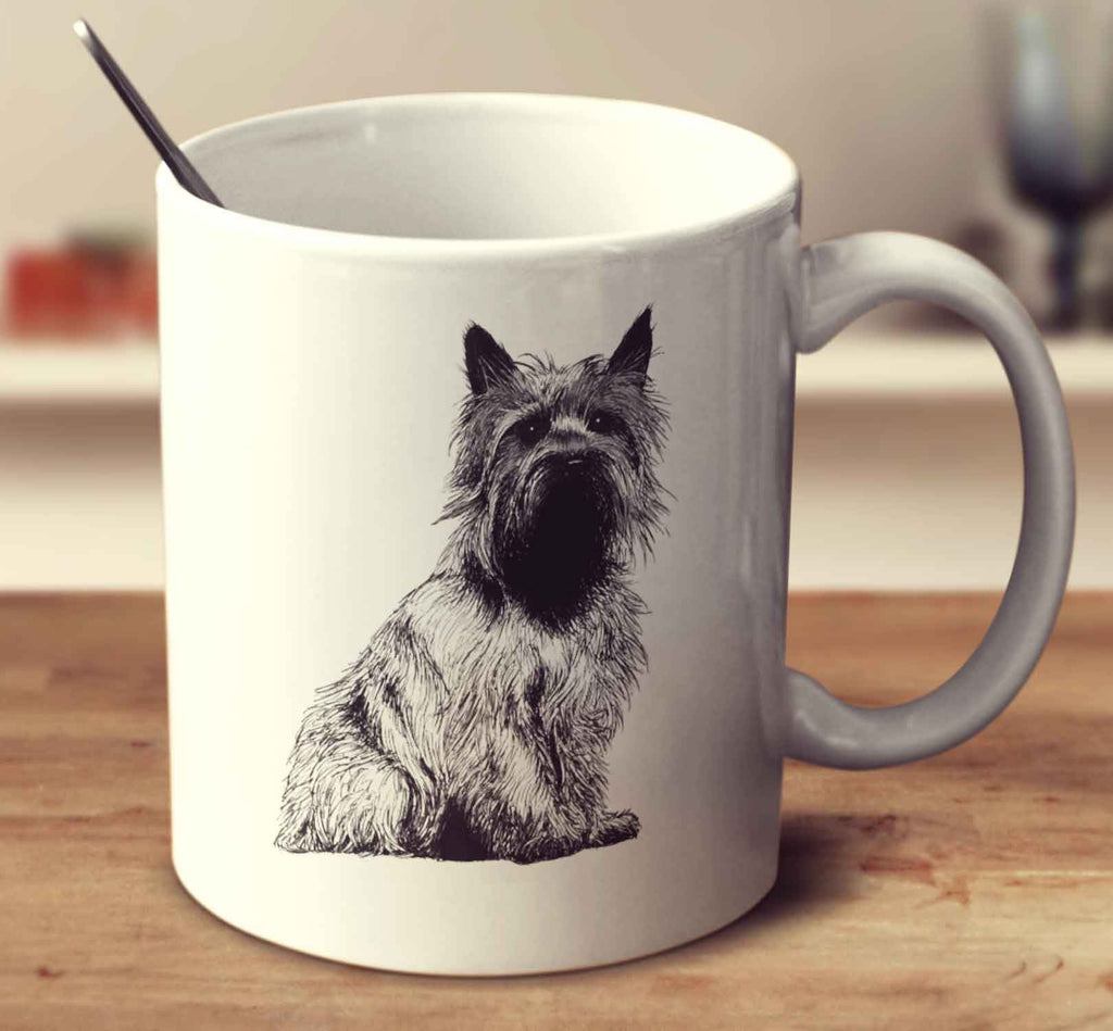 Cairn Terrier Sketch