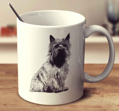 Cairn Terrier Sketch