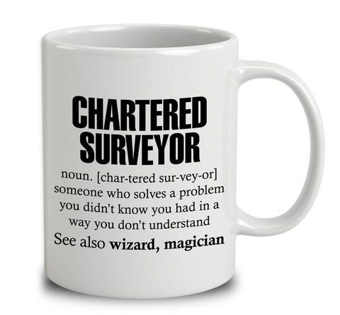 Chartered Surveyor Someone Who Solves A Problem