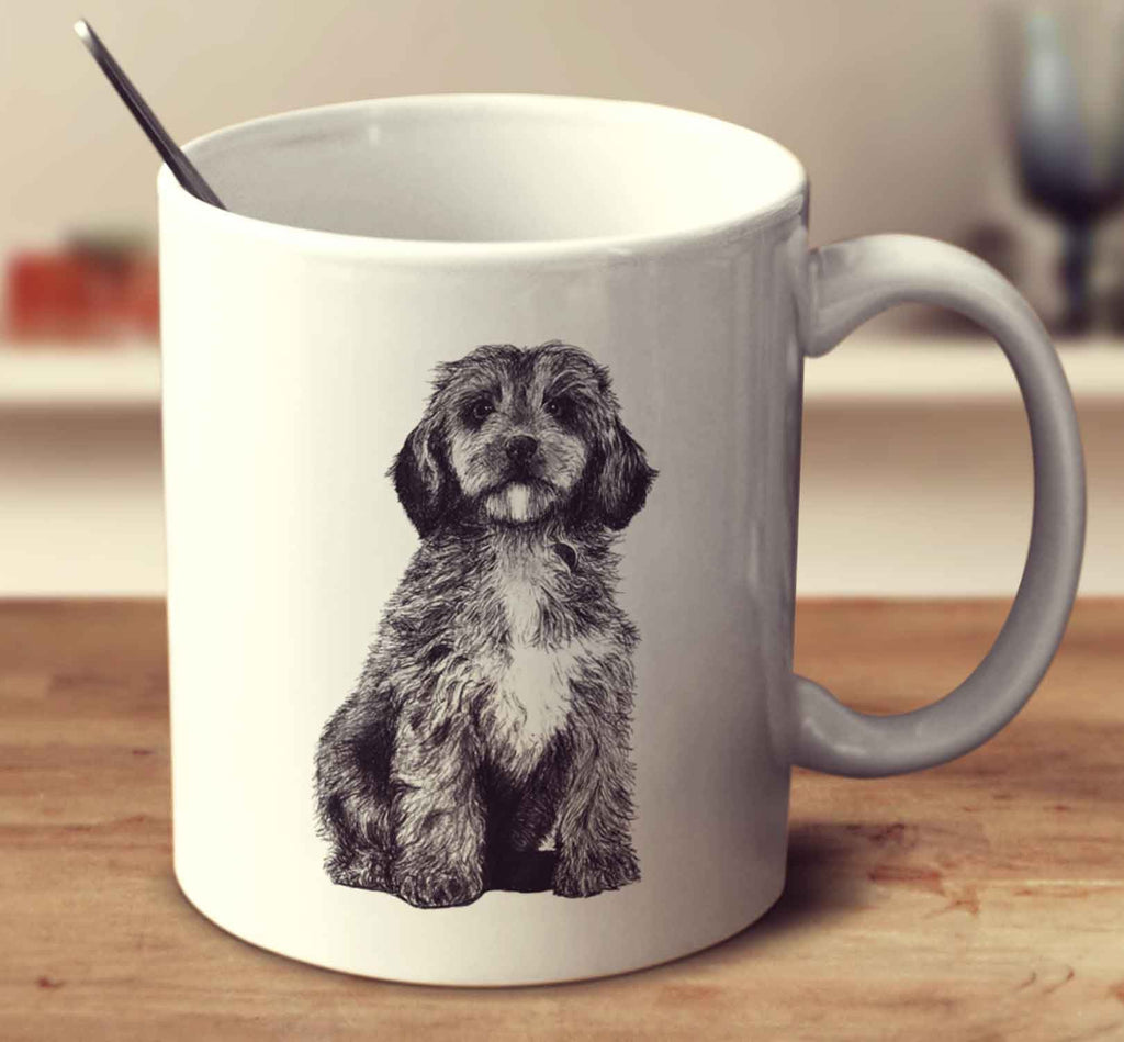 Cockapoo Sketch