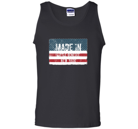 Made in Little Genesee, New York T-shirt
