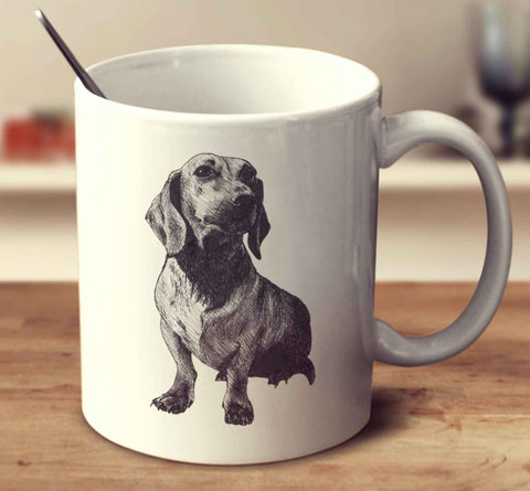 Dachshund Sketch