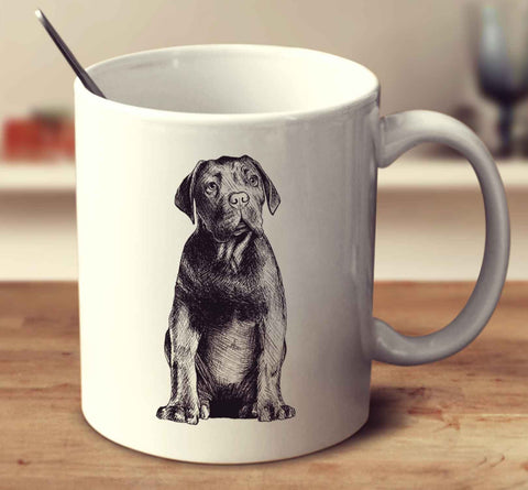 Dogue De Bordeaux Sketch