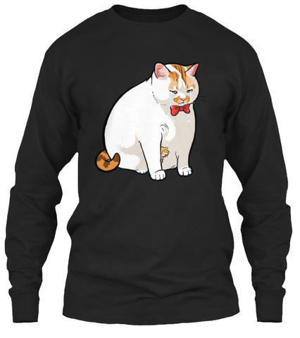 pet-cats-animals
