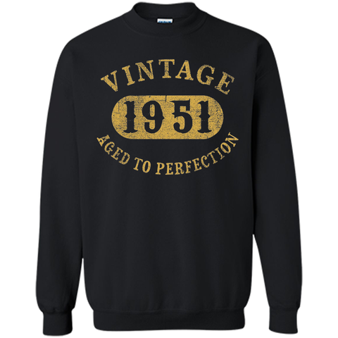 66 years old 66th Birthday B-day Gift Vintage 1951 T-Shirt