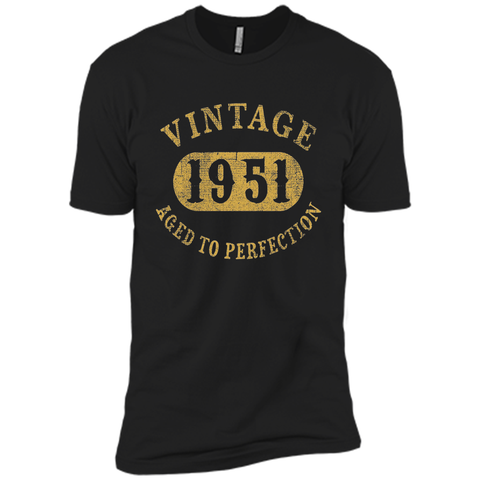 66 years old 66th Birthday B-day Gift Vintage 1951 T-Shirt