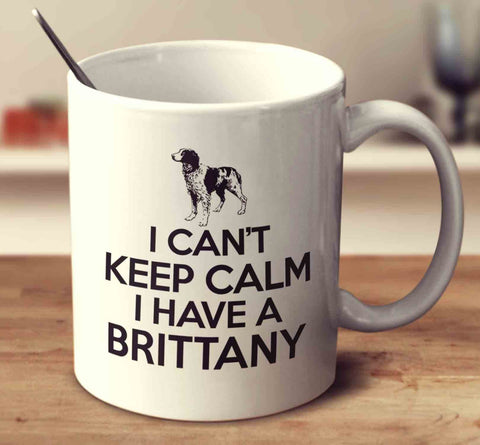 I Can't Keep Calm I Have A Brittany