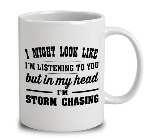 I Might Look Like I'm Listening To You, But In My Head I'm Storm Chasing