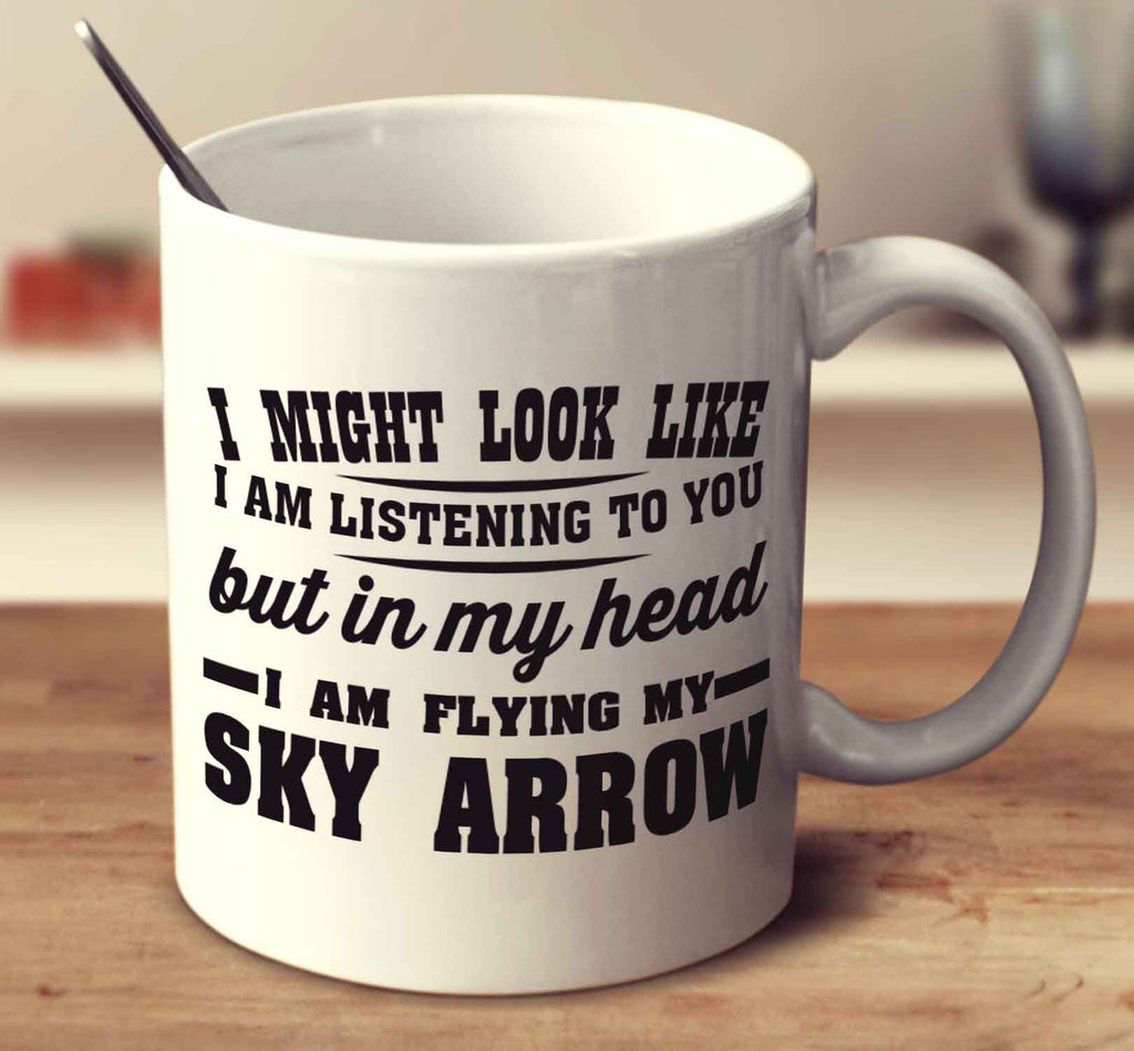 I might look like I'm listening but in my head I'm flying my Sky Arrow