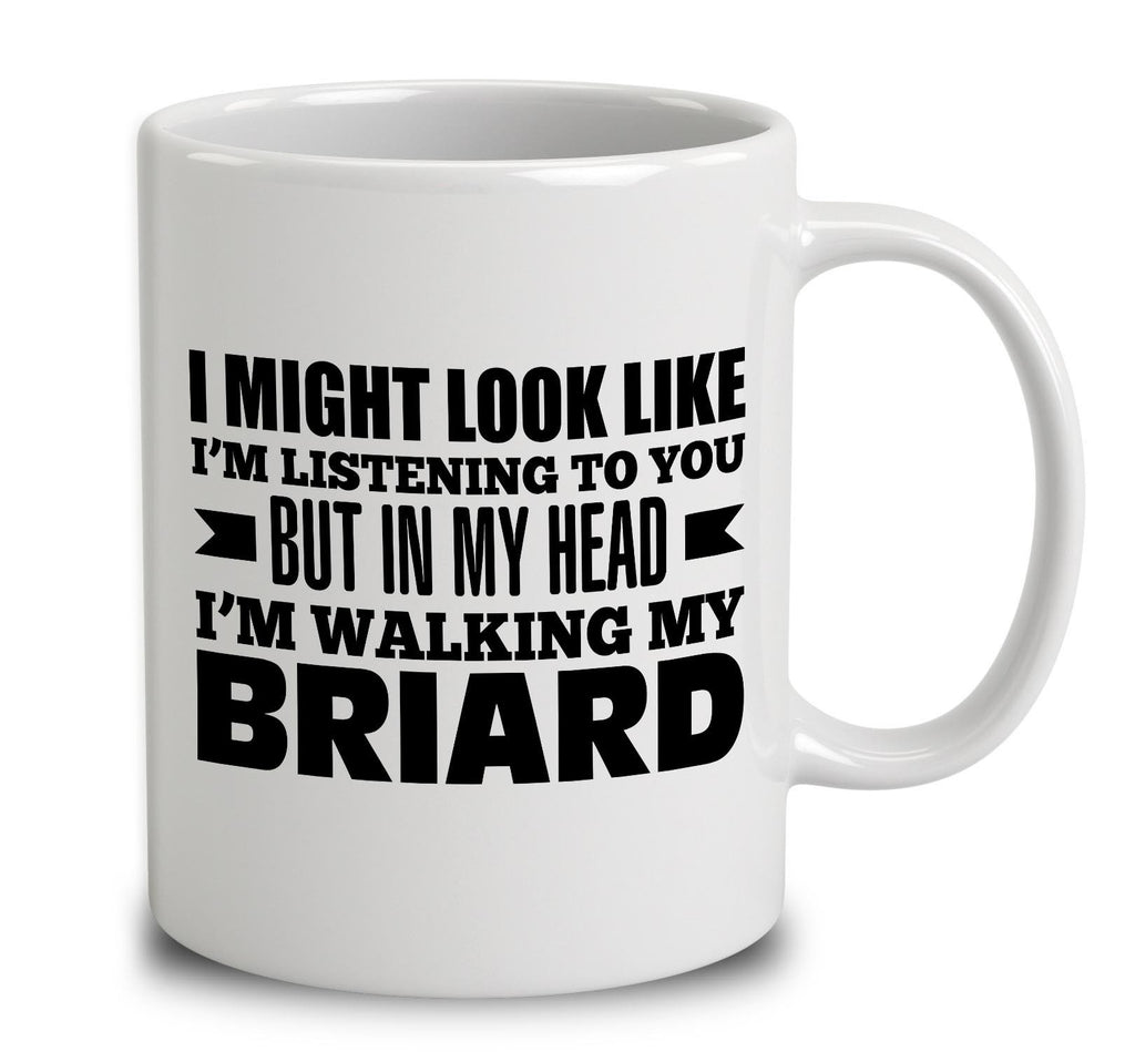 In My Head I'm Walking My Briard