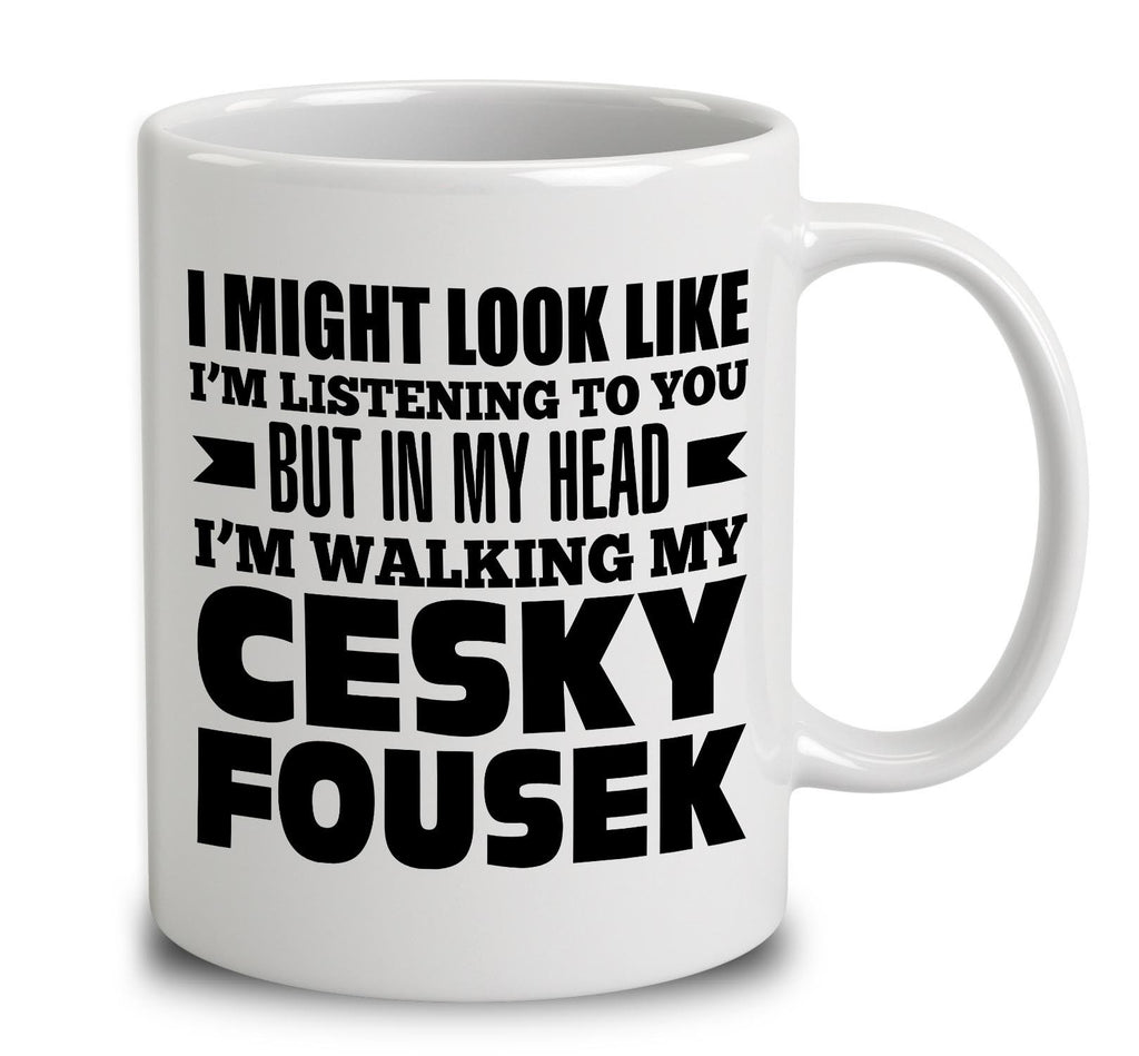 In My Head I'm Walking My Cesky Fousek