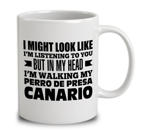 In My Head I'm Walking My Perro De Presa Canario