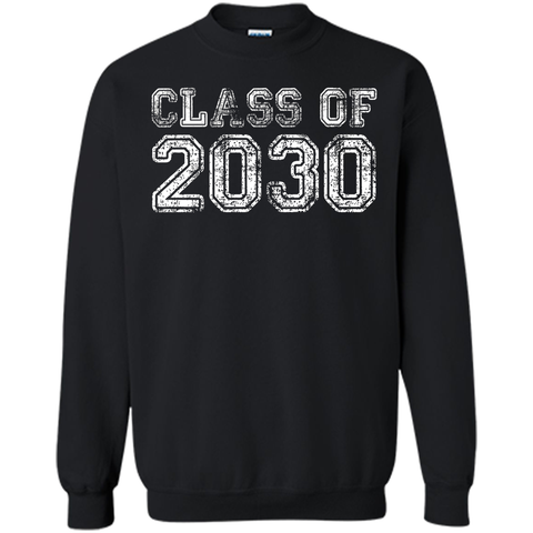 Class of 2030 - VintageRetro Future Graduate Tee Shirt