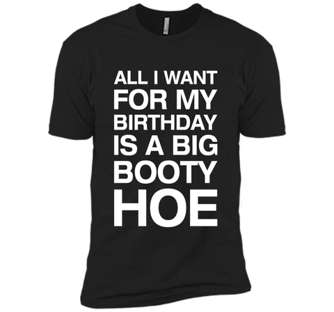 All I Want For My Birthday Is A Big Booty Hoe Funny Shirt