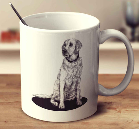 Labrador Retriever Sketch