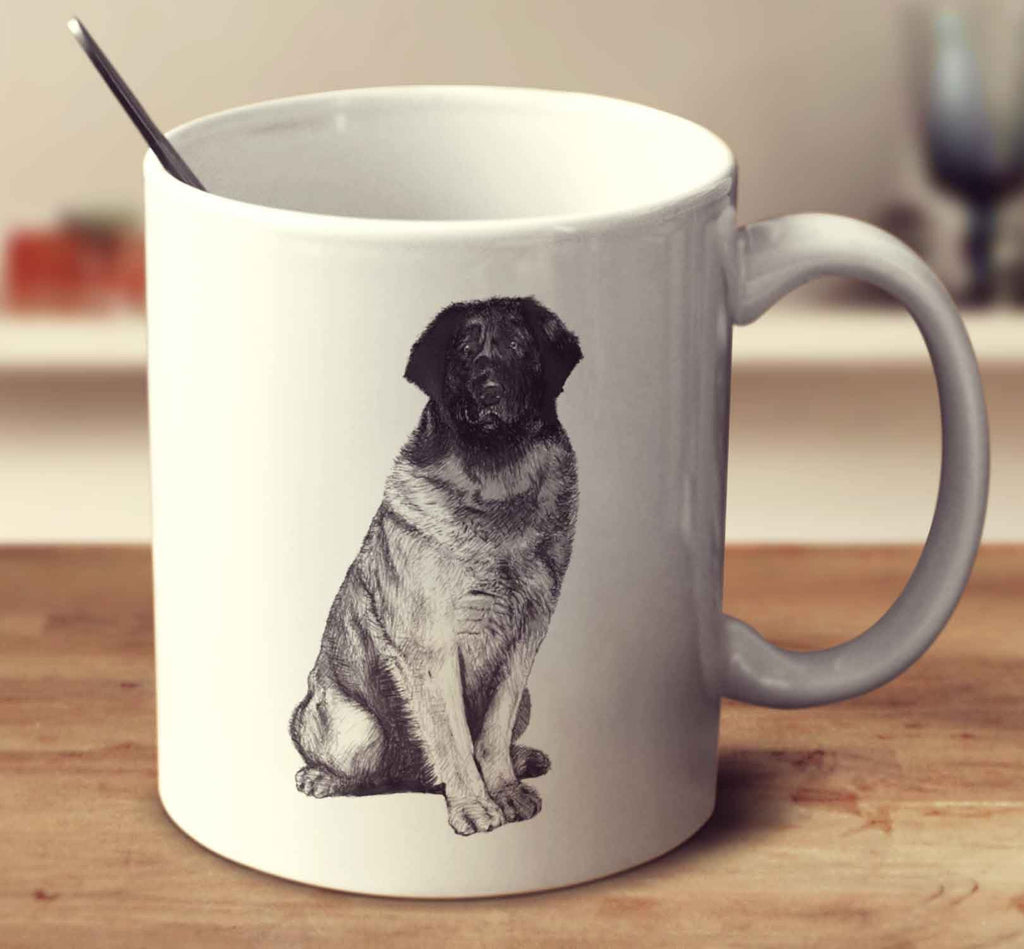Leonberger Sketch