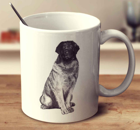 Leonberger Sketch