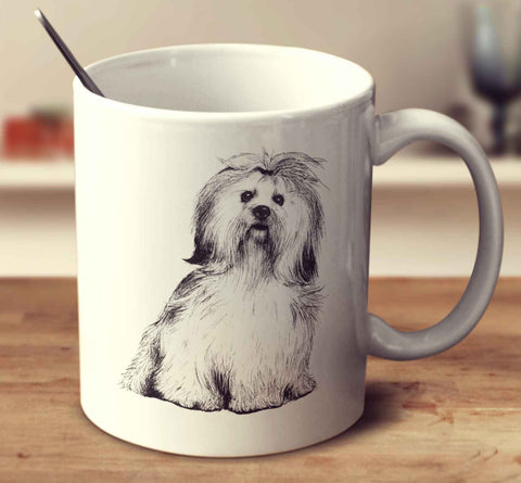 Lhasa Apso Sketch