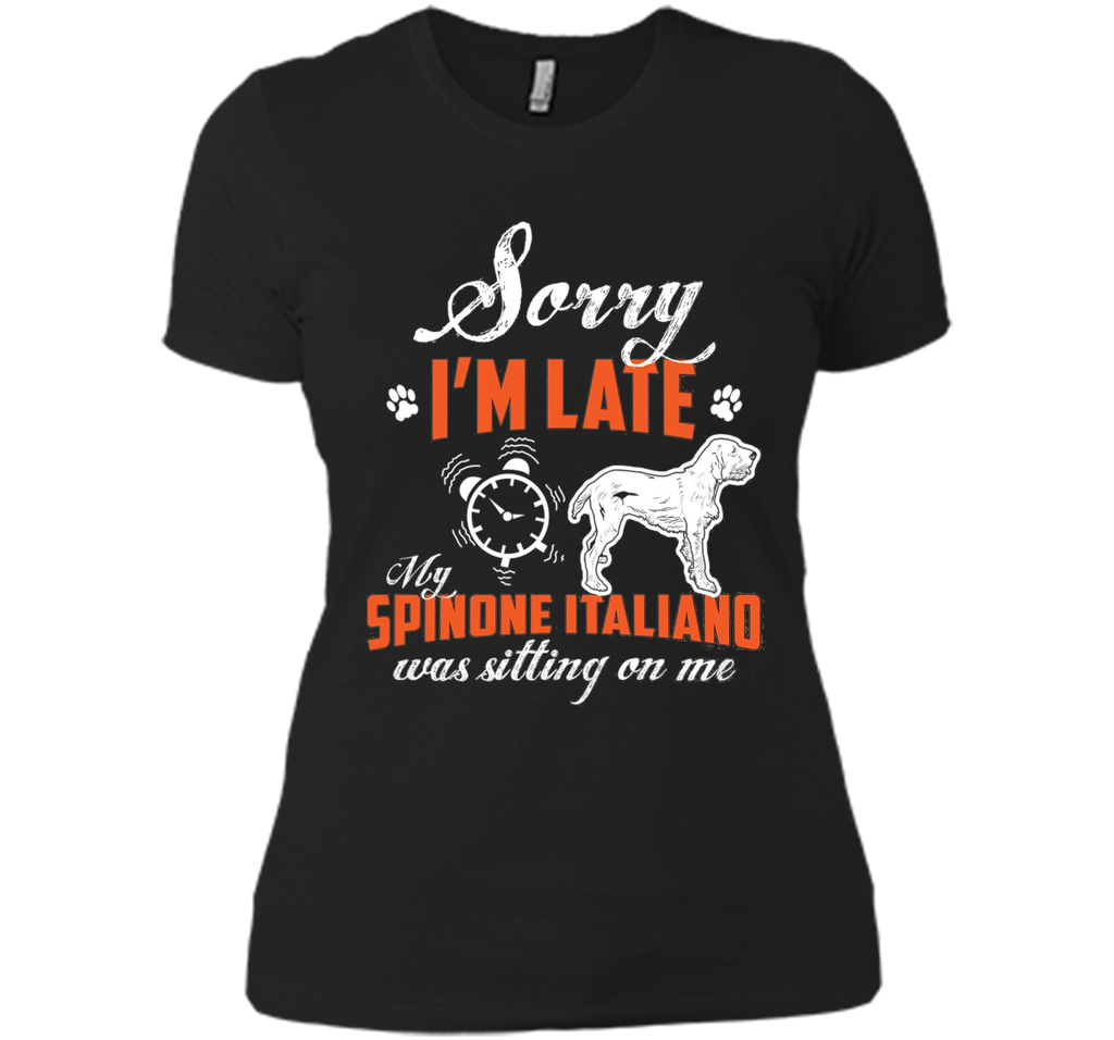 My Spinone Italiano Was Sitting On Me T-Shirt