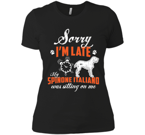 My Spinone Italiano Was Sitting On Me T-Shirt