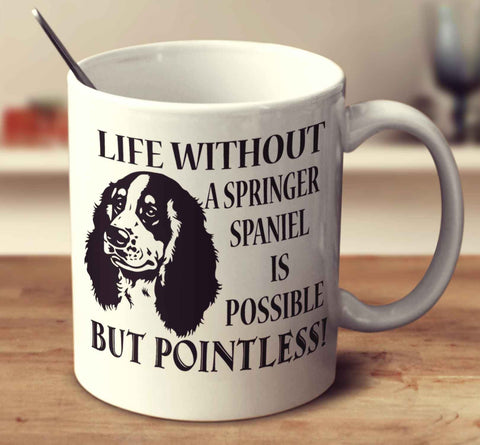 Life Without A Springer Spaniel Is Possible But Pointless