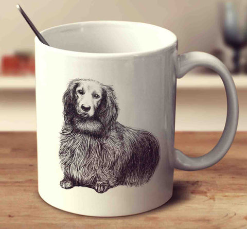 Long-Haired Dachshund Sketch
