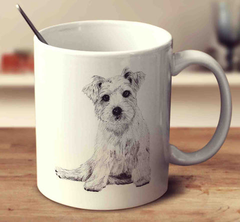 Norfolk Terrier Sketch